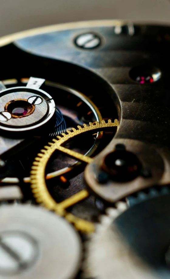 Watch Movement
