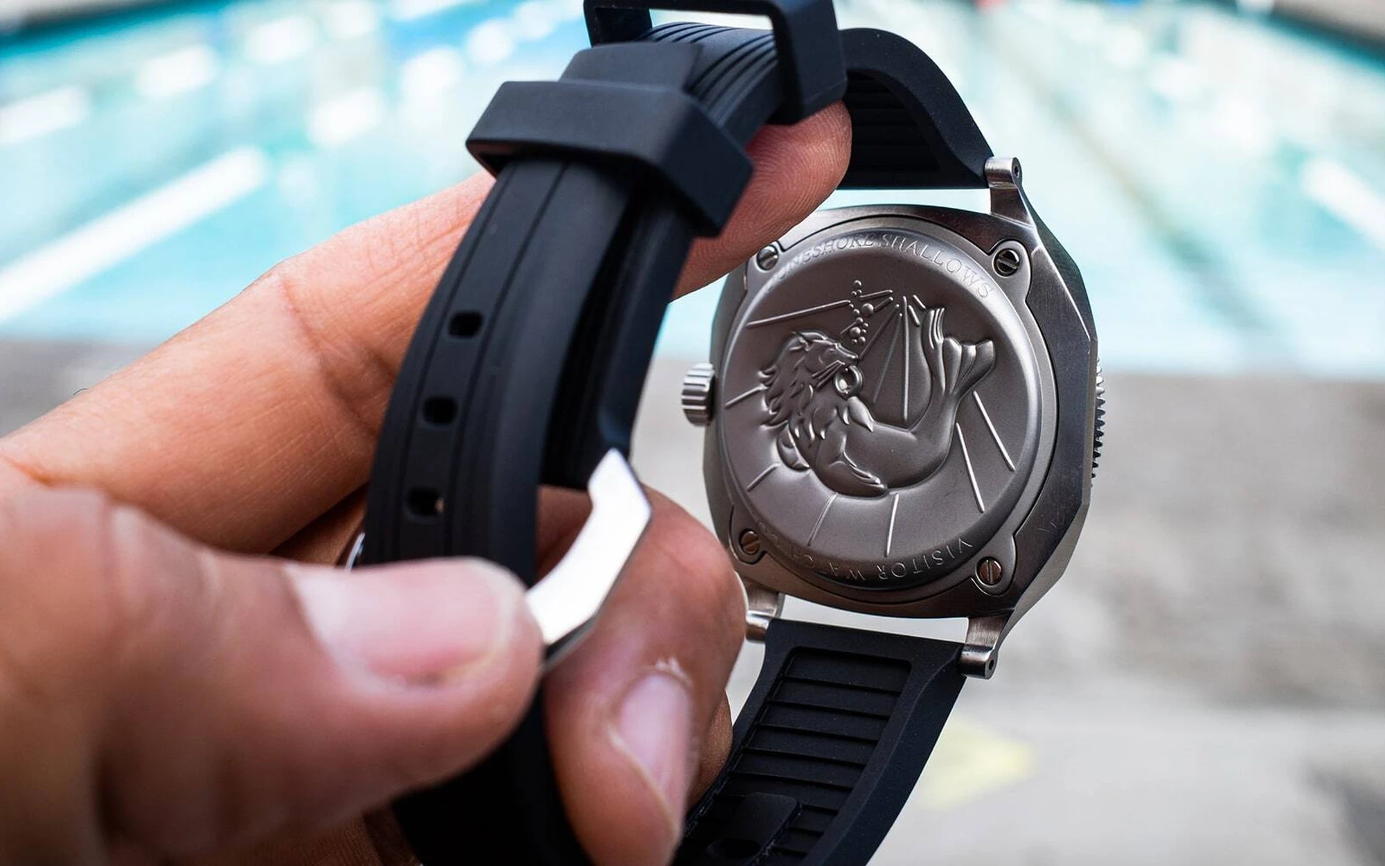 Visitor watch co duneshore shallows 00007