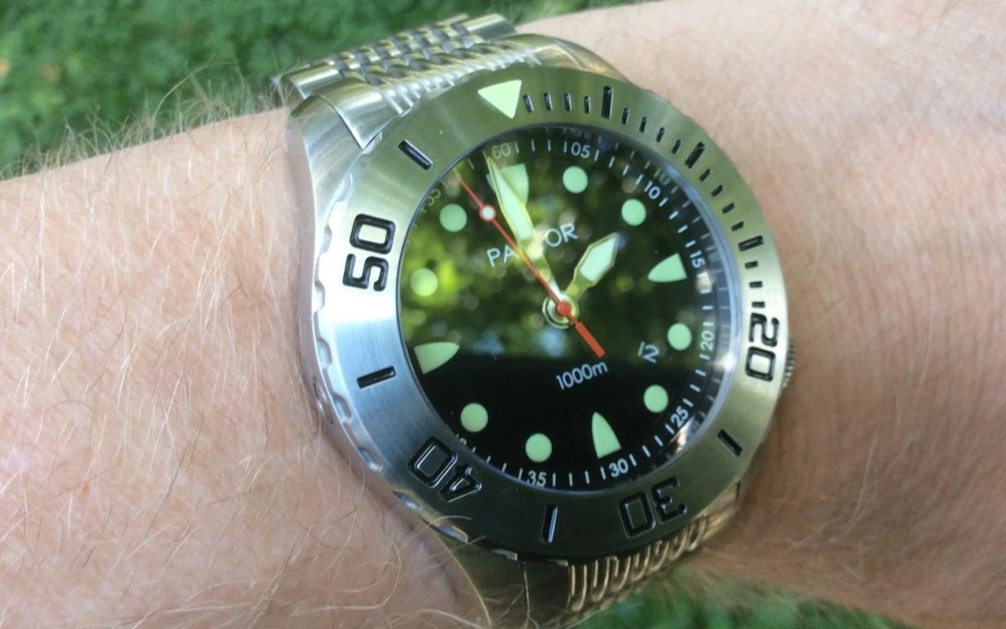 Pantor seahorse diver steel bezel 3