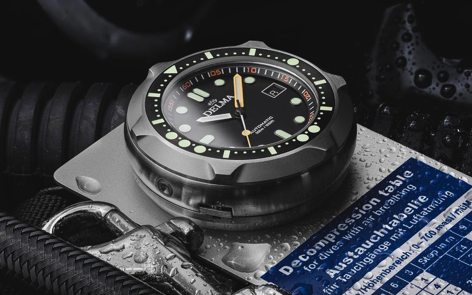 Delma quattro 5