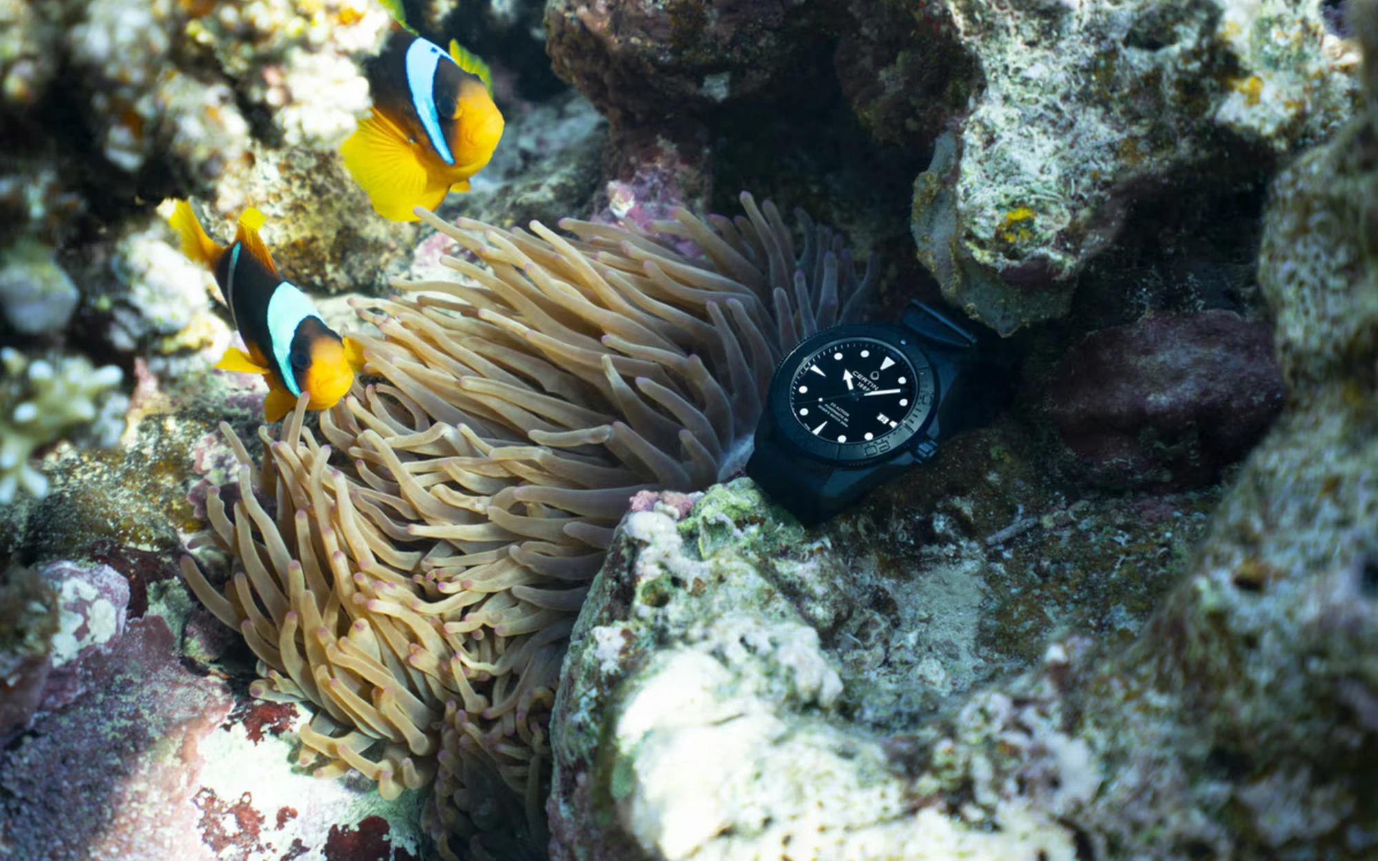 Certina ds action diver 43mm powermatic 80 8