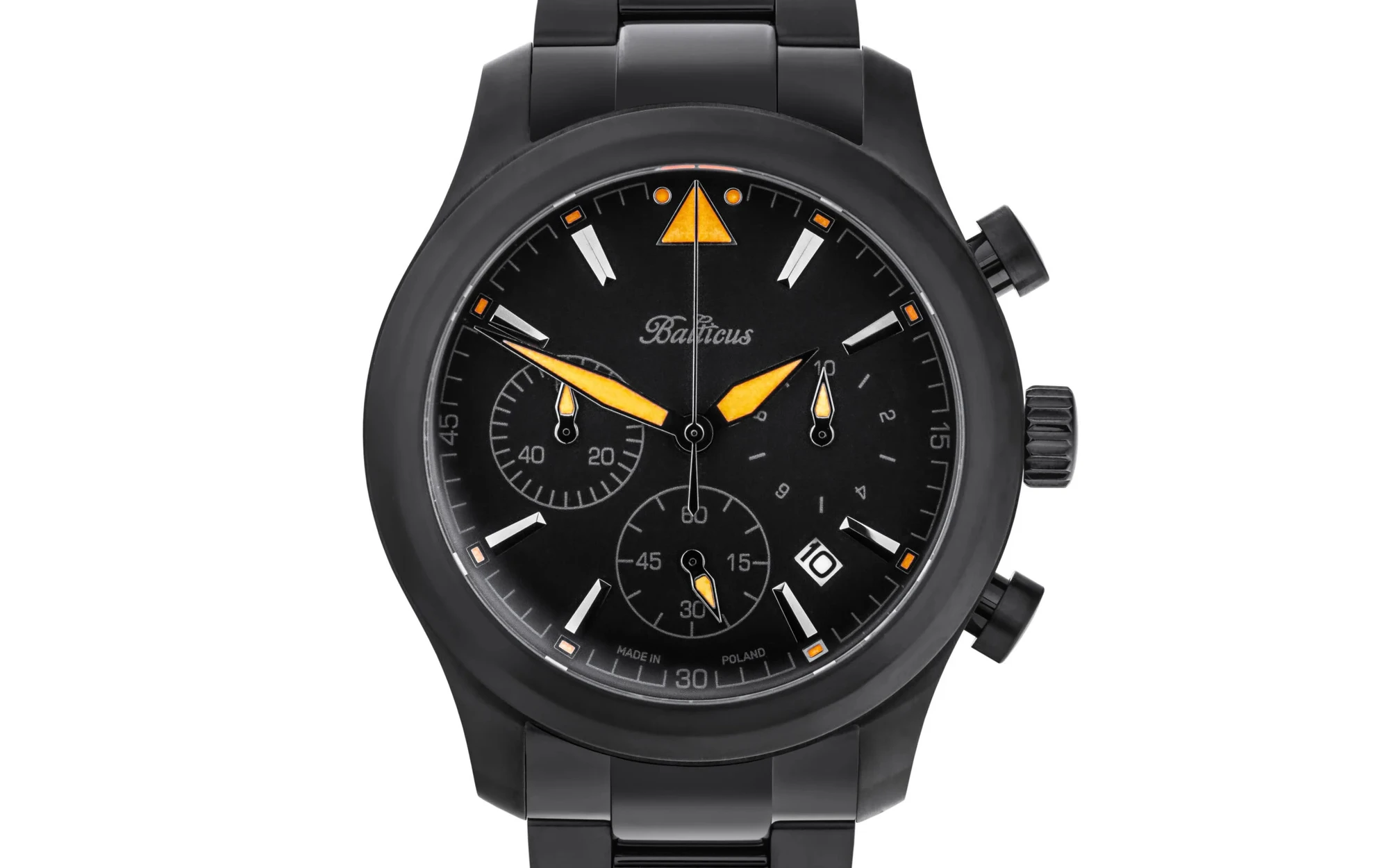 Balticus watches flying seal