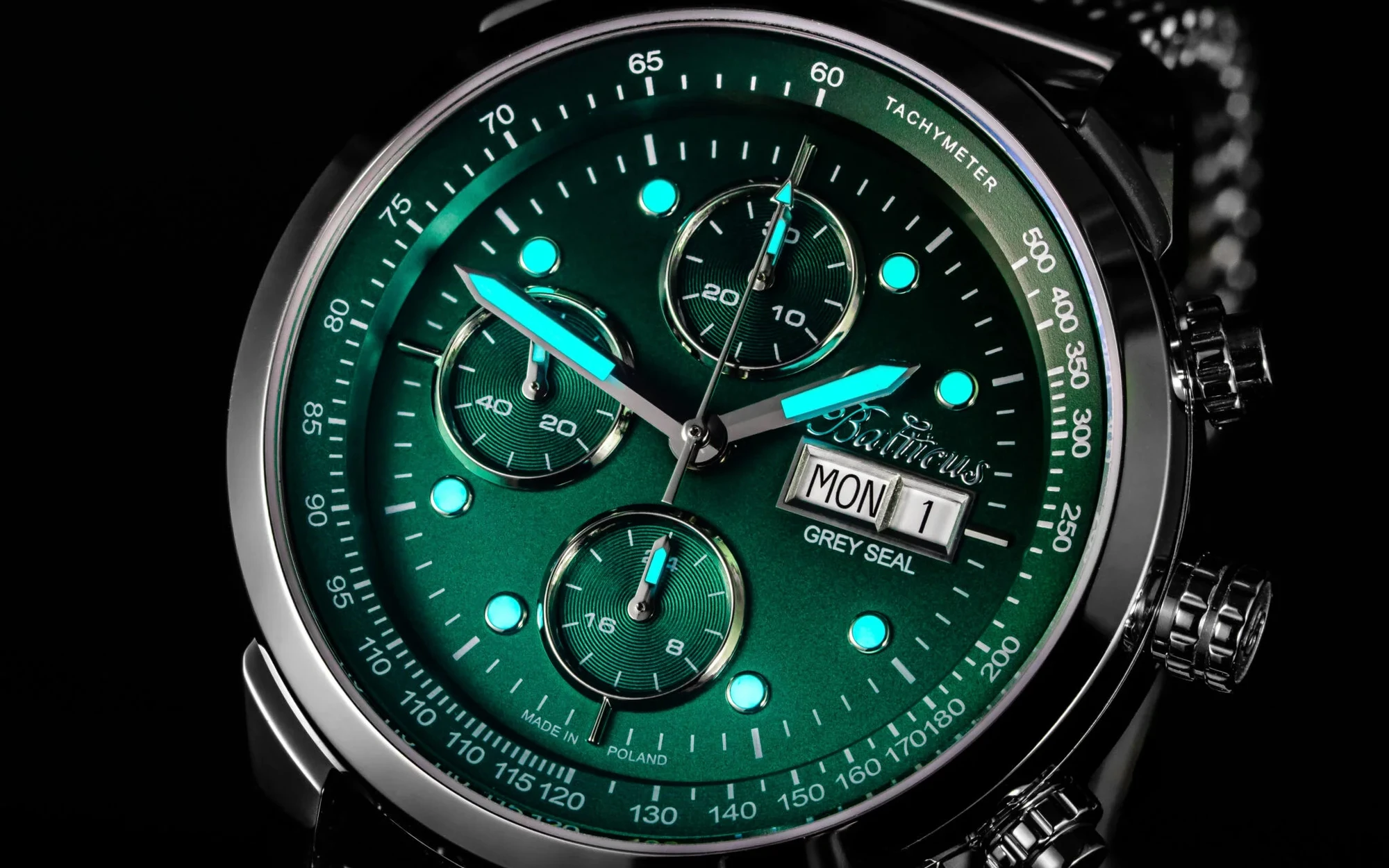 Balticus watches grey seal 2