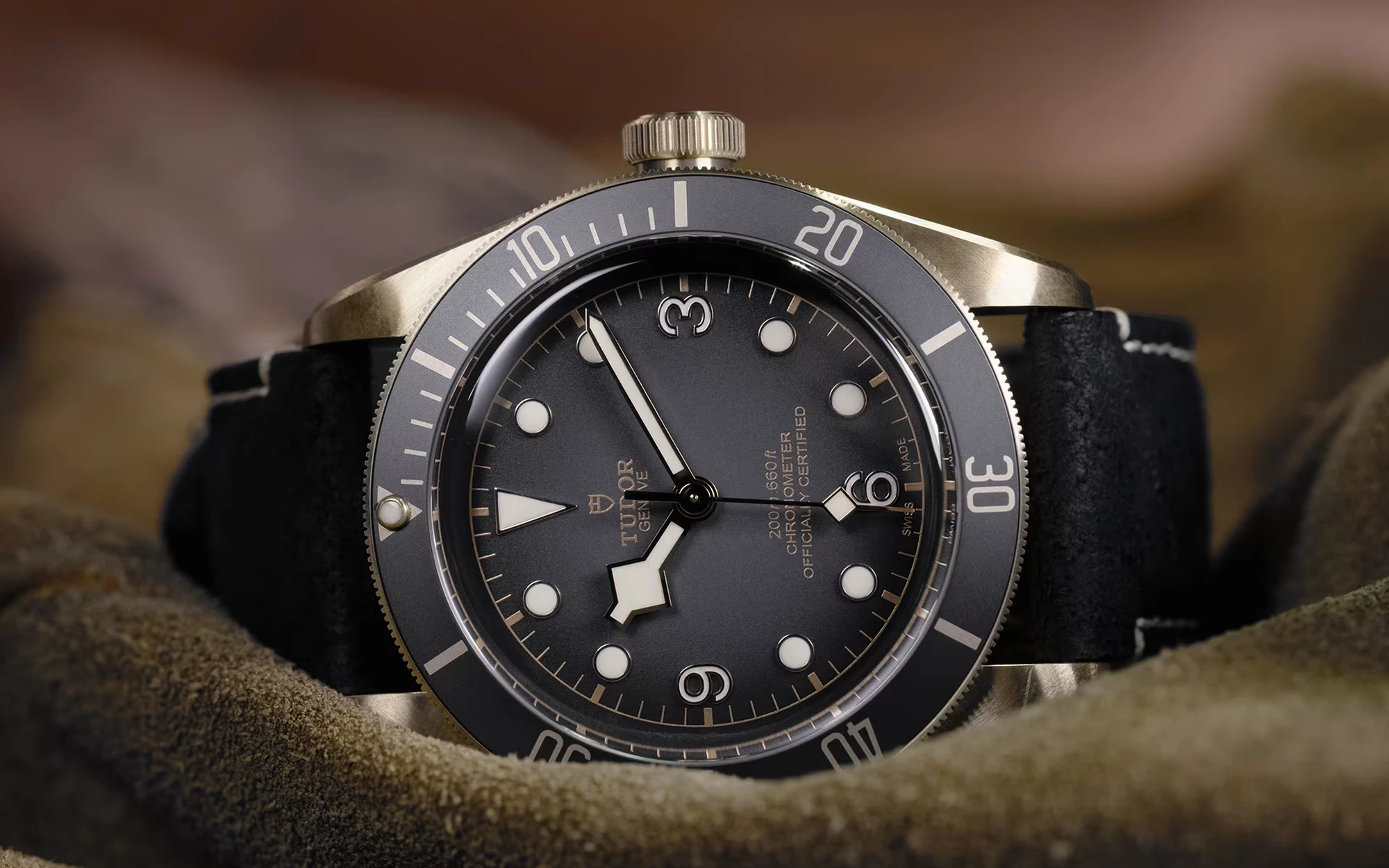 Tudor black bay bronze 2