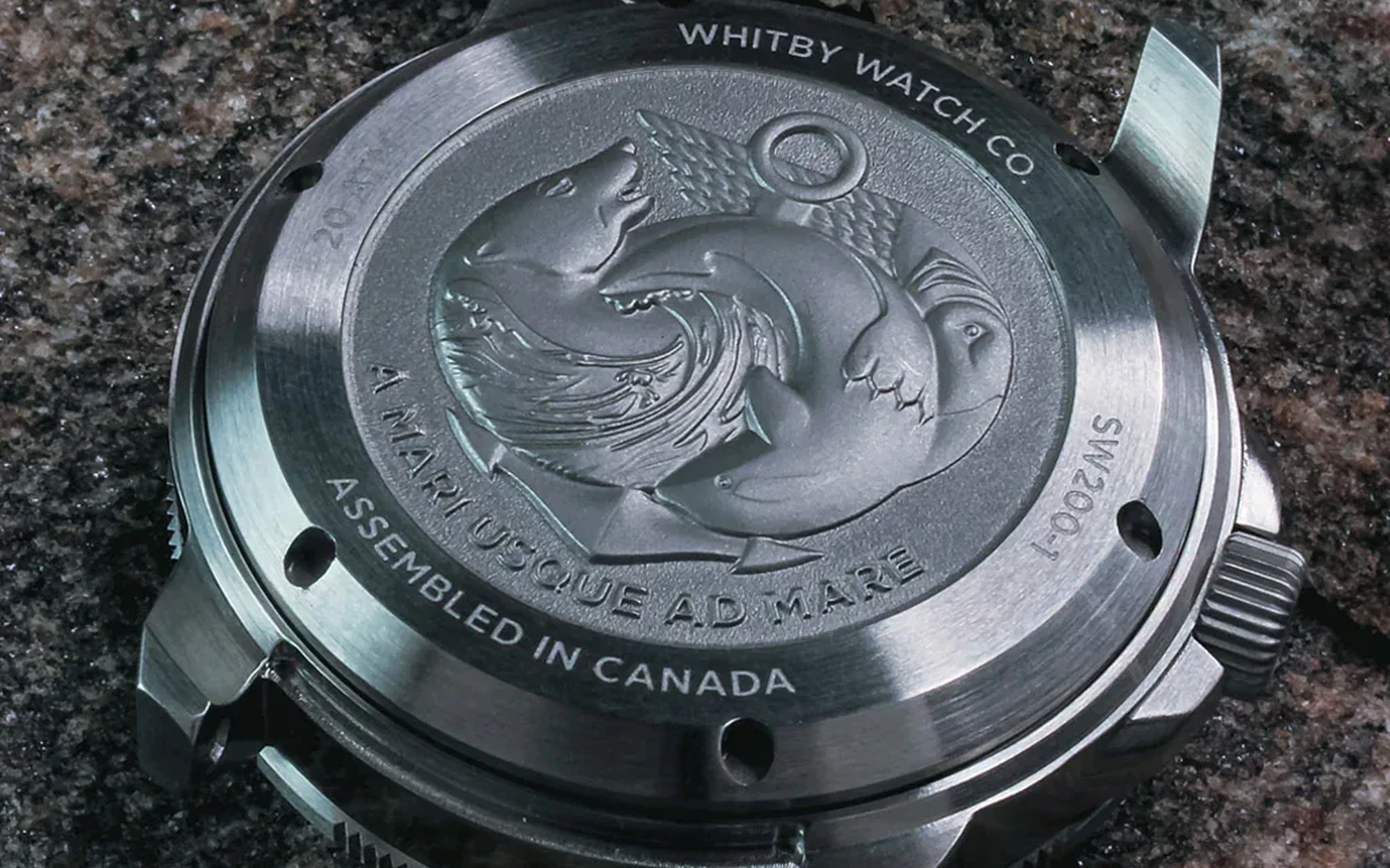 Ad mare dive watch caseback canadian watch company automatice watch divers watch canada whitby watch co watches case back 1600x