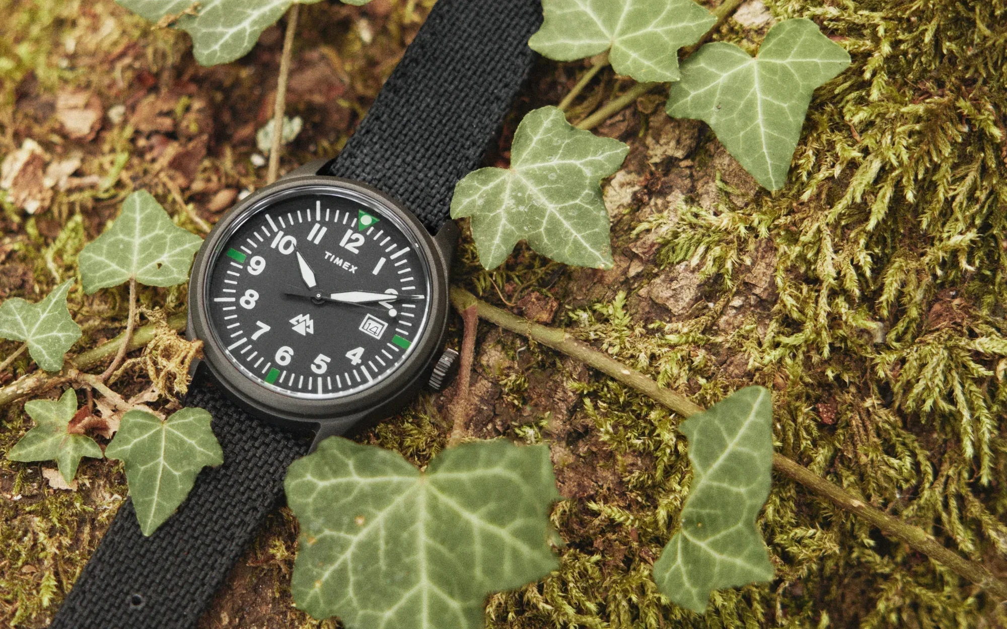 Timex expedition traprock 3