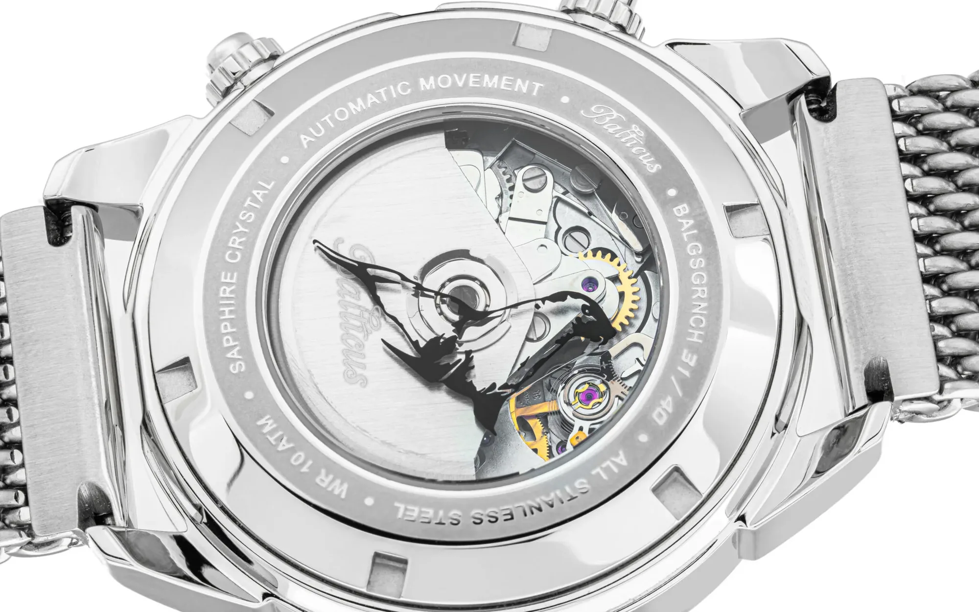 Balticus watches grey seal 3